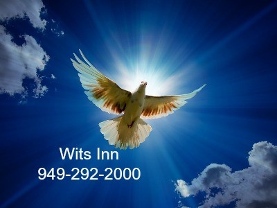 Ms Contin Rehab CentersThornton AR
